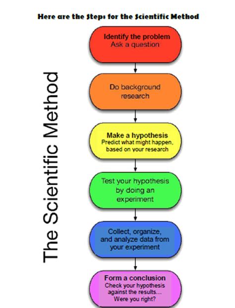 the scientific method quizlet